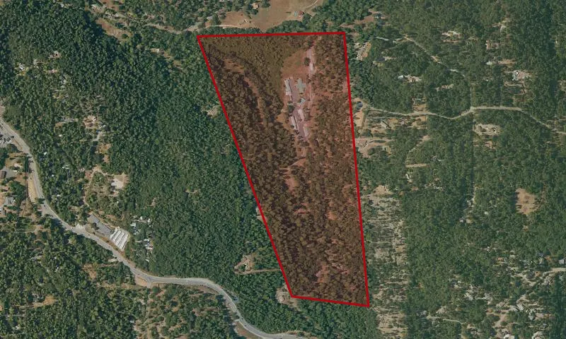 Mount Zion State Forest