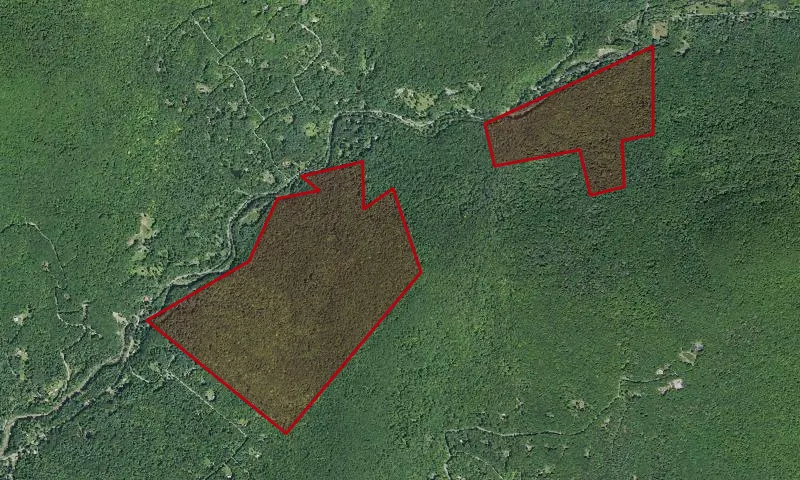 Beaverkill