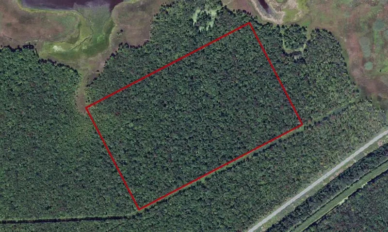 Swamp Woods Rna