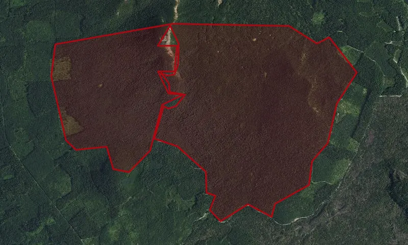 Red Mountain Roadless Area
