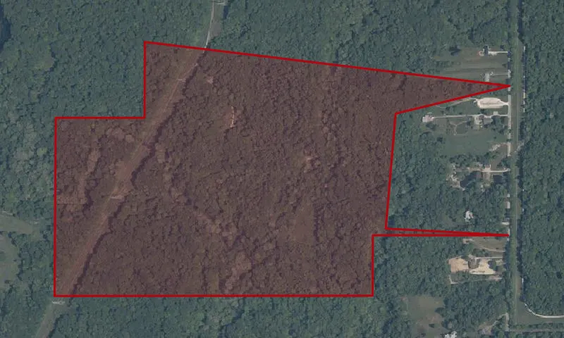 Shaw Woods