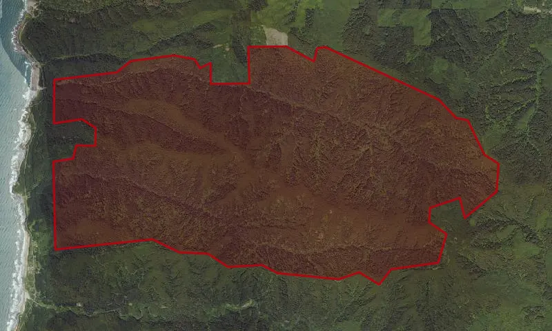 Cummins Creek Wilderness