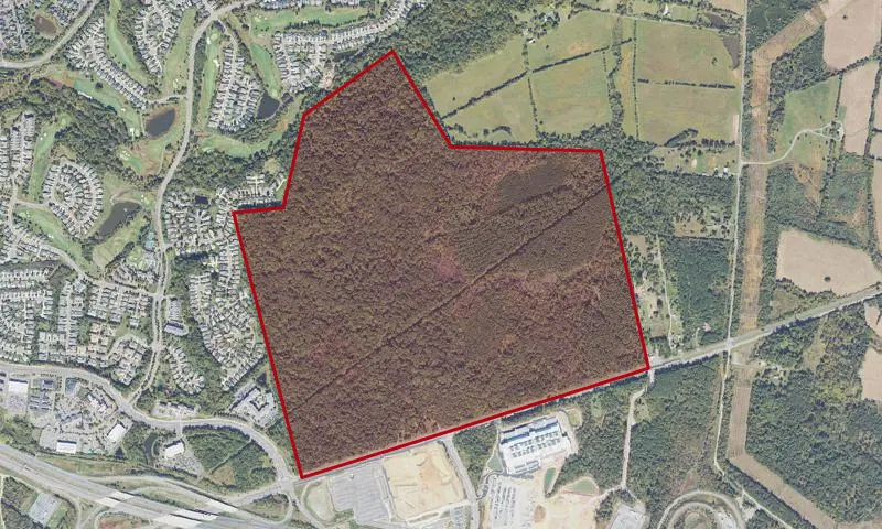 Conway Robinson Memorial State Forest