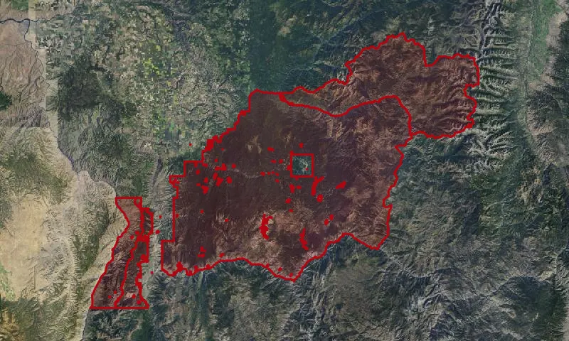 Nezperce National Forest