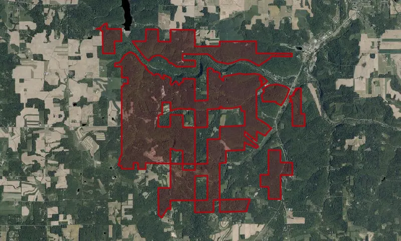 Mohican-Memorial State Forest