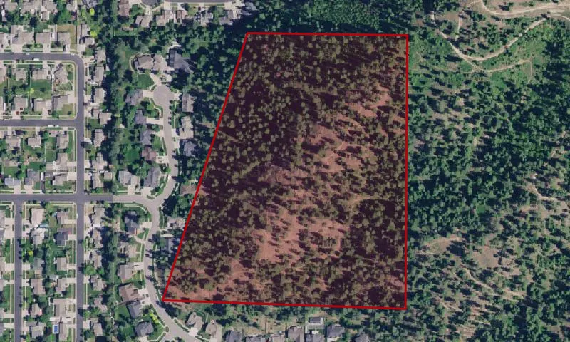 Canfield Mtn Trails