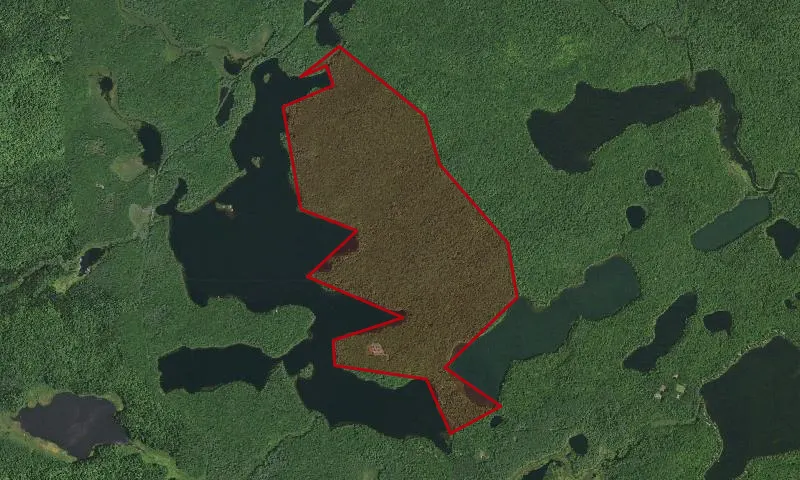Rollins Pond Campground