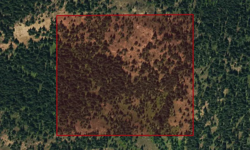 Smith Gulch/South Section