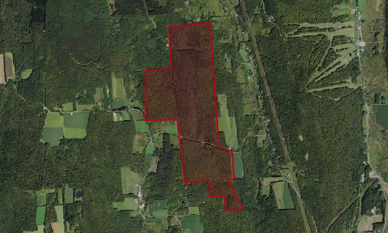 Heiburg Forest