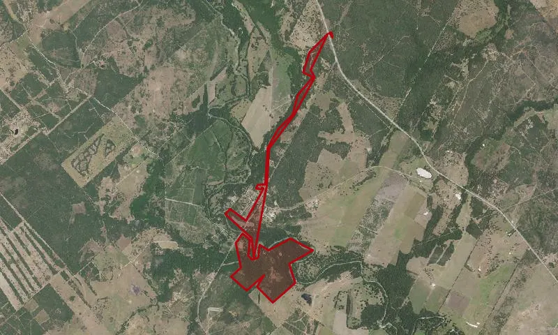Palmetto State Park