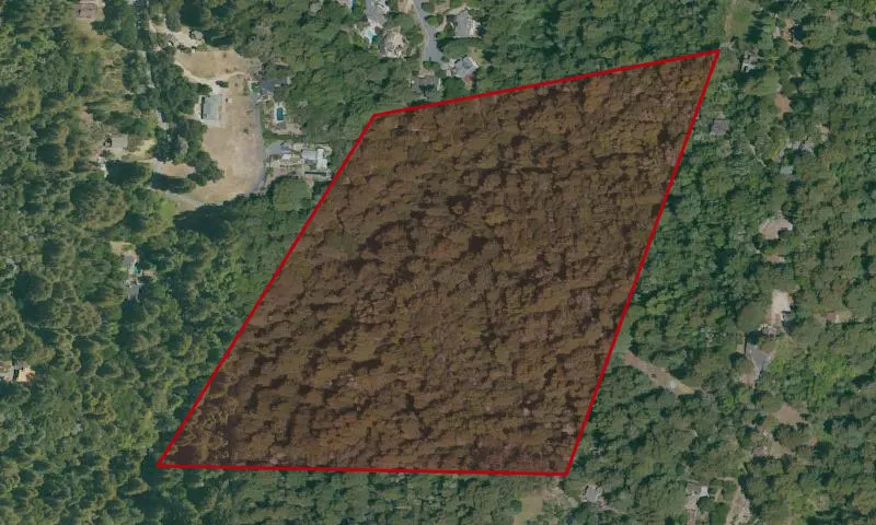 Scotts Valley holding 4