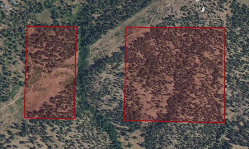 Camp Sekani