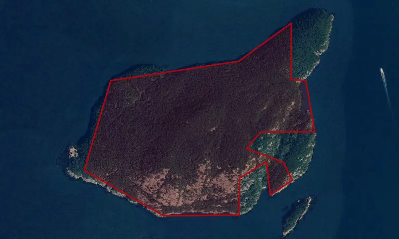 Burrows Island