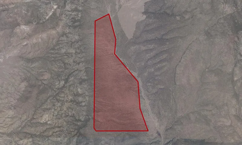 Quinn Canyon Springs Roadless Area
