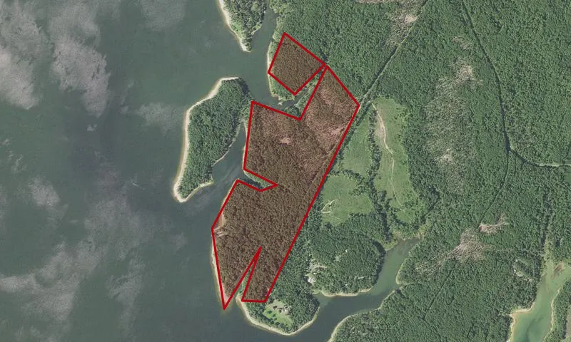 Harvey Creek Recreation Area