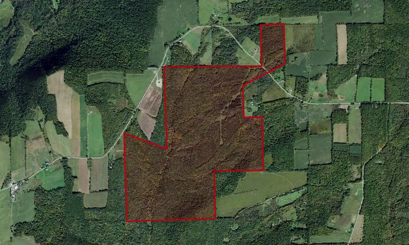 Mount Washington Multiple Use Area