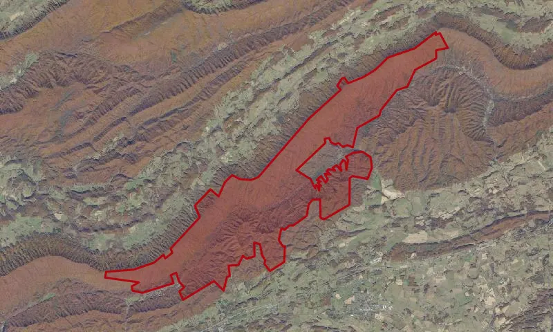 Bear Creek Roadless Area