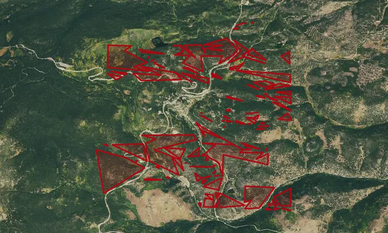 USFS Exchange - Ward