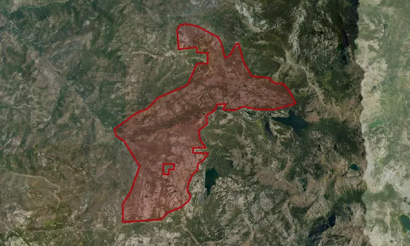 Caples Creek Roadless Area