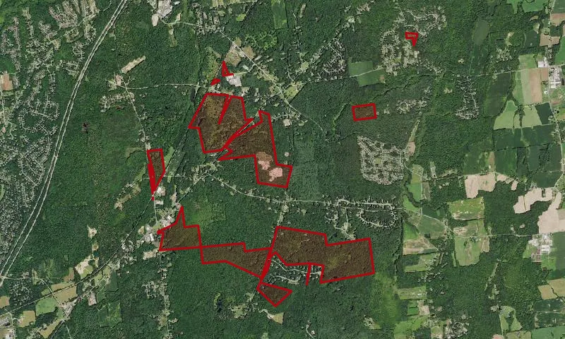 Saratoga Sand Plains Wma