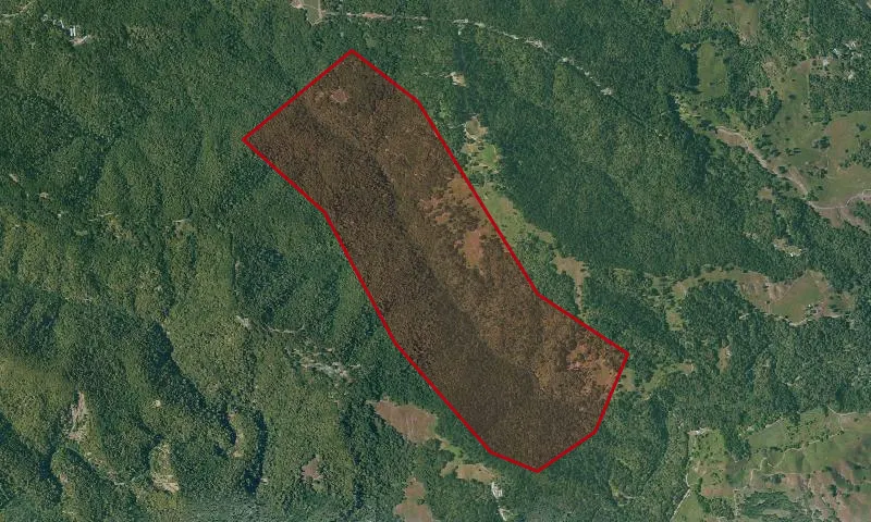 Jewett Creek