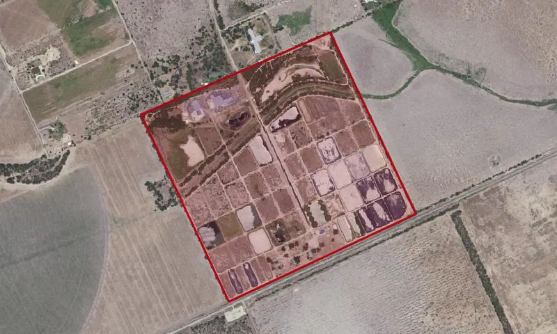 Uvalde Nfh
