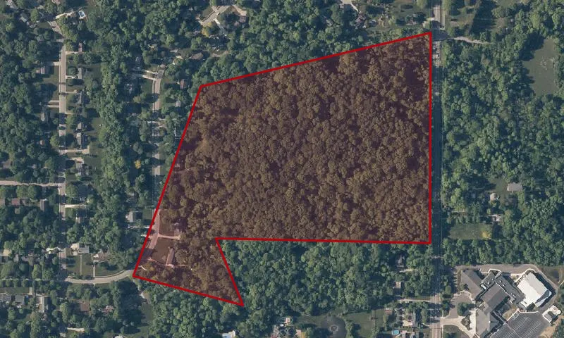 Bicentennial Woods