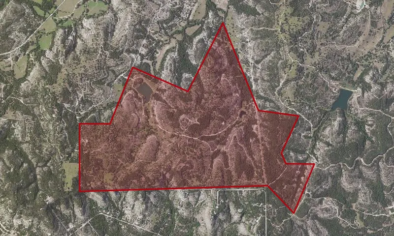Nicholson Ranch Preserve