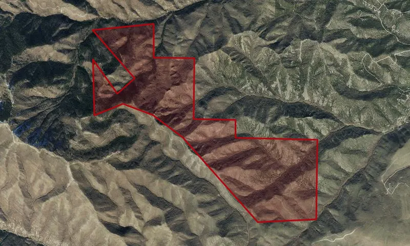 Rose Canyon