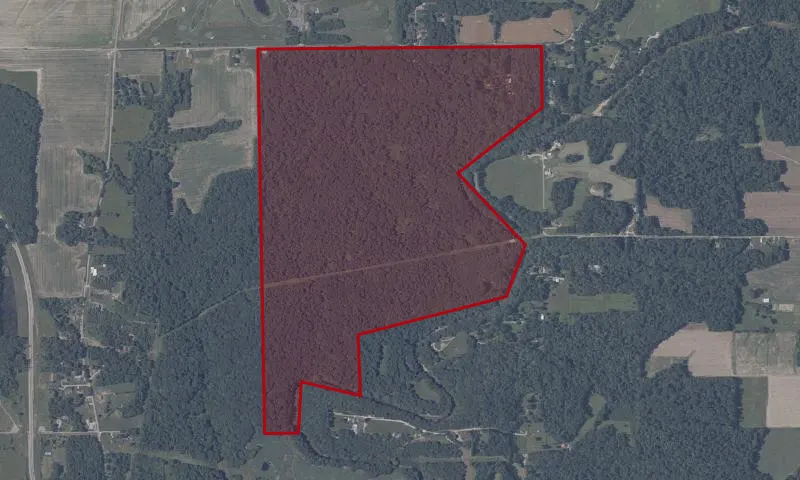 Selmier State Forest