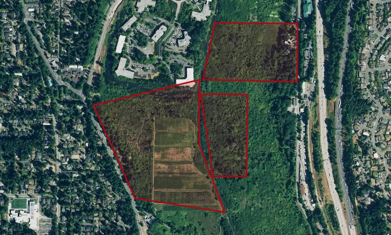Bellefields Nature Park