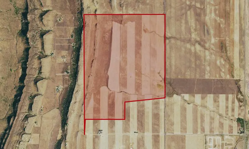 Dryland Wheat Farm - Prairie Ridge