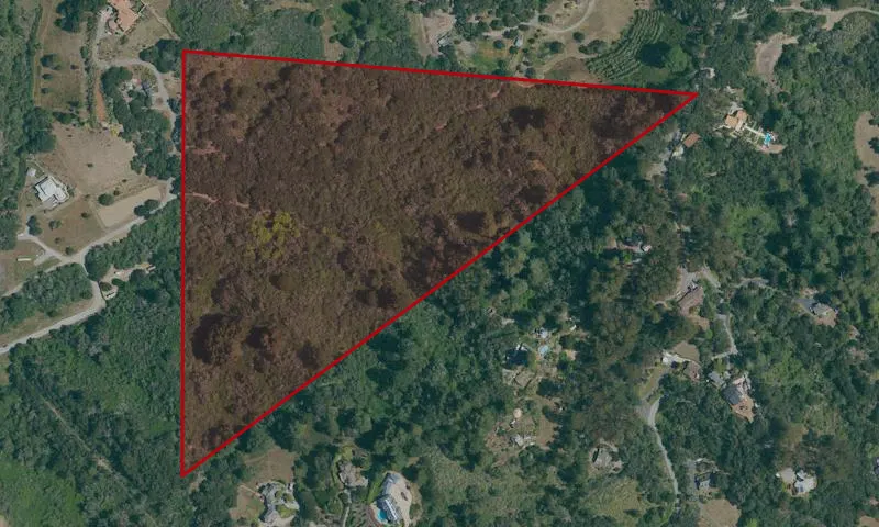 San Andreas Creek - King Property