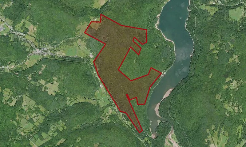 Pine Mountain