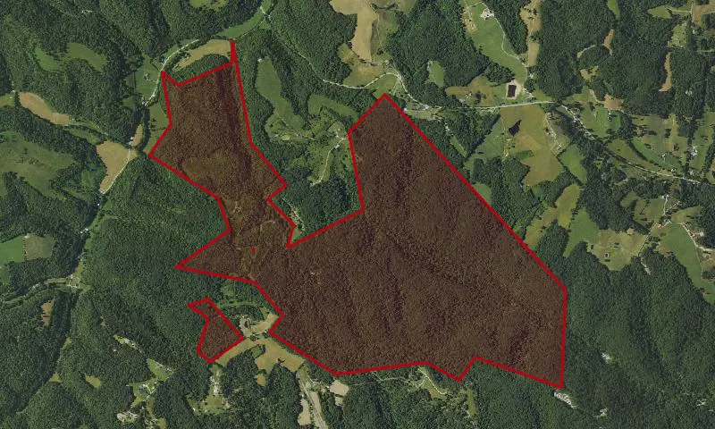 Tygarts State Forest