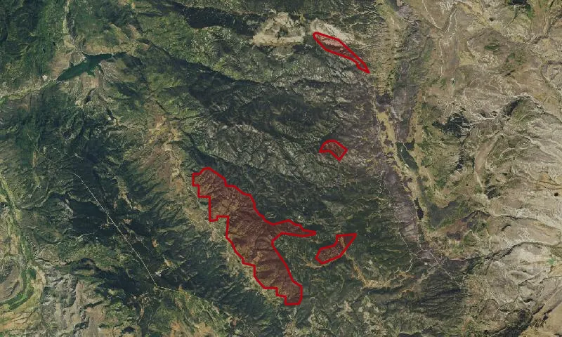 Morrison Creek Roadless Area