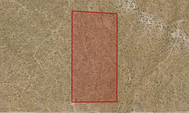 216-56-003A