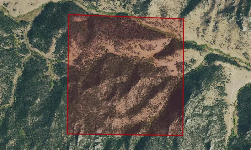 Redfeather Experimental Forest
