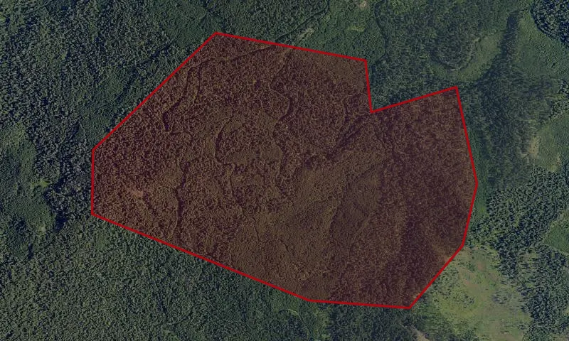 South Umpqua Experimental Forest