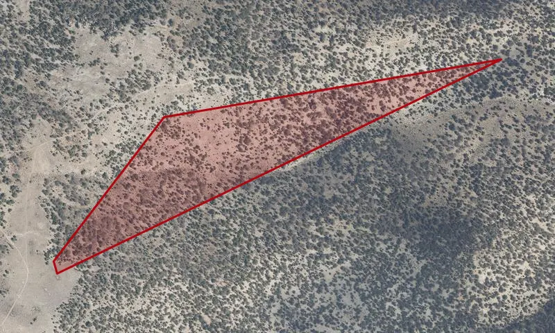 Moriah - Rye Grass C Roadless Area