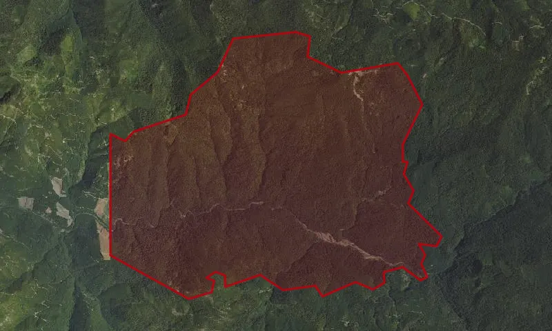 Middle Santiam Wilderness