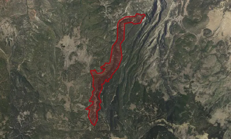 Canones Creek Roadless Area