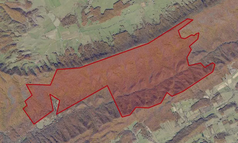 Garden Mountain Wilderness