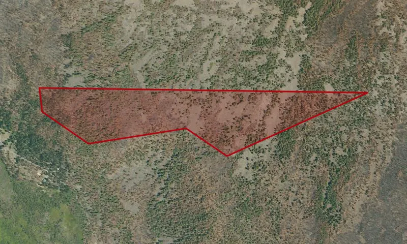 Mt. Harkness Roadless Area