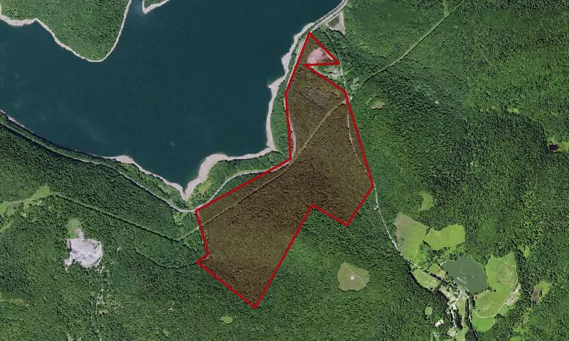Roods Creek