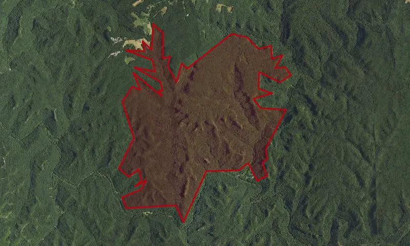 Wolfpen Roadless Area
