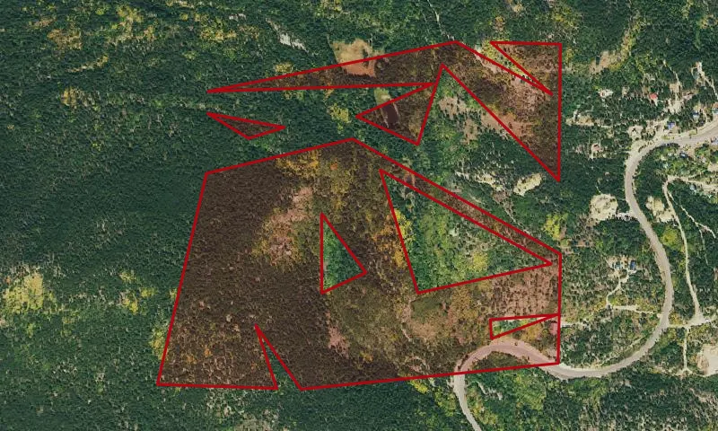 USFS Exchange - Ward Wildlands