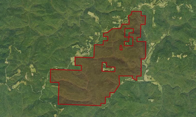 Dismal Creek Roadless Area
