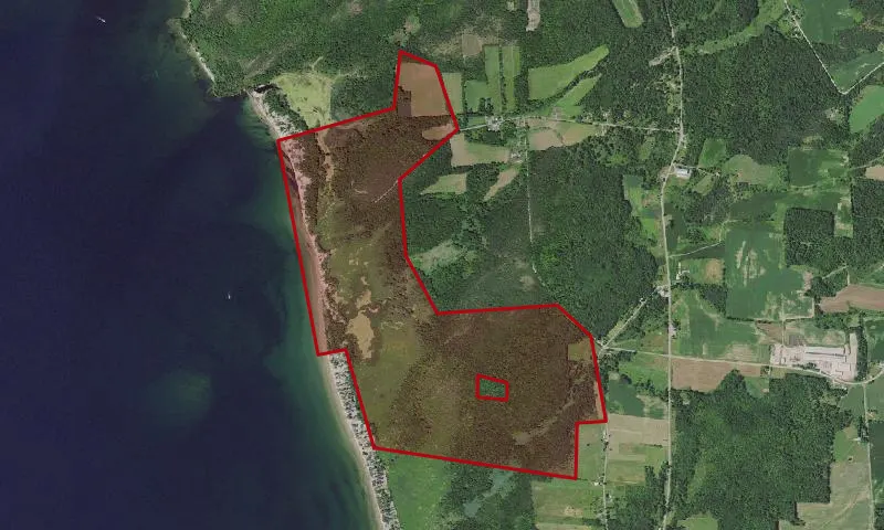 Black Pond Wma