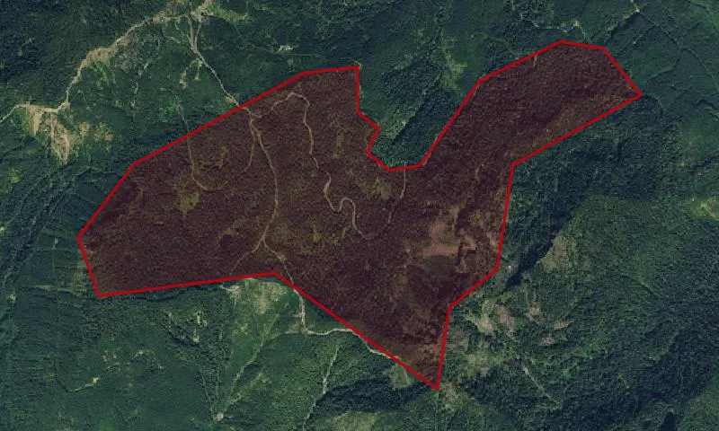Three Peaks Botanical Area